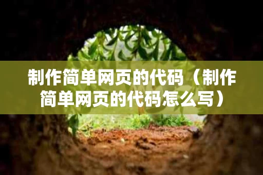 制作简单网页的代码（制作简单网页的代码怎么写）