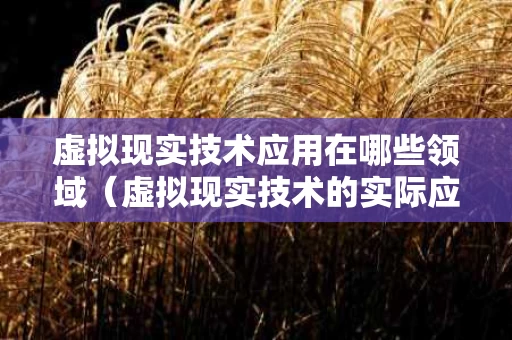 虚拟现实技术应用在哪些领域（虚拟现实技术的实际应用）