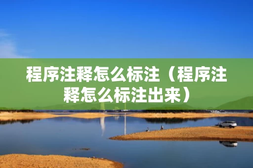 程序注释怎么标注（程序注释怎么标注出来）