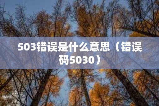 503错误是什么意思（错误码5030）