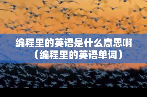 编程里的英语是什么意思啊（编程里的英语单词）