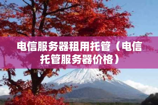 电信服务器租用托管（电信托管服务器价格）