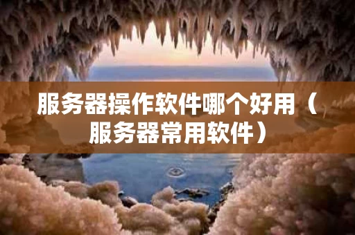 服务器操作软件哪个好用（服务器常用软件）