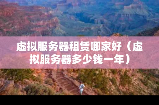 虚拟服务器租赁哪家好（虚拟服务器多少钱一年）
