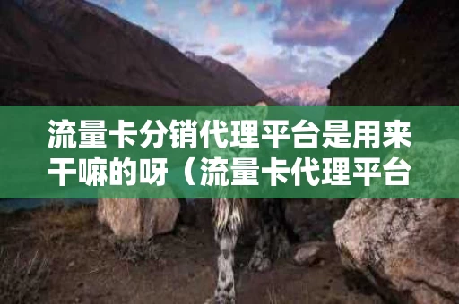 流量卡分销代理平台是用来干嘛的呀（流量卡代理平台购买）