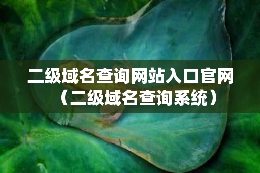 二级域名查询网站入口官网（二级域名查询系统）