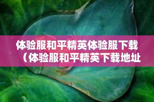 体验服和平精英体验服下载（体验服和平精英下载地址）