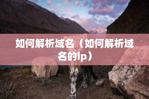 如何解析域名（如何解析域名的ip）
