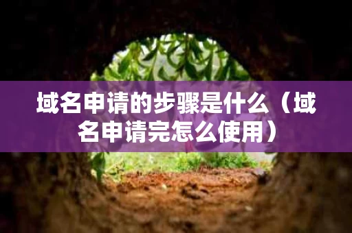 域名申请的步骤是什么（域名申请完怎么使用）