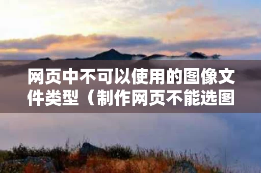 网页中不可以使用的图像文件类型（制作网页不能选图片的类型有）