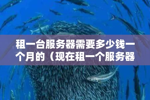 租一台服务器需要多少钱一个月的（现在租一个服务器多少一个月）