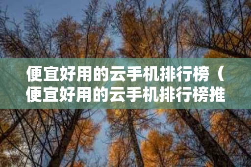 便宜好用的云手机排行榜（便宜好用的云手机排行榜推荐）