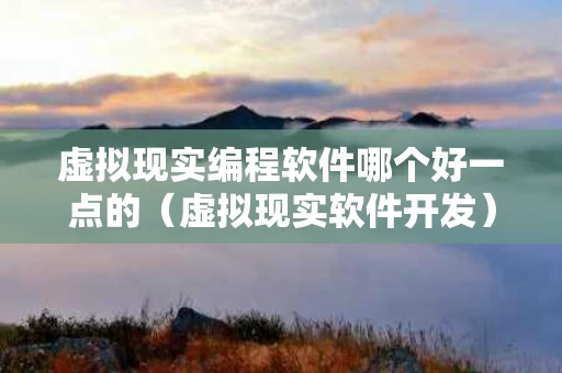 虚拟现实编程软件哪个好一点的（虚拟现实软件开发）