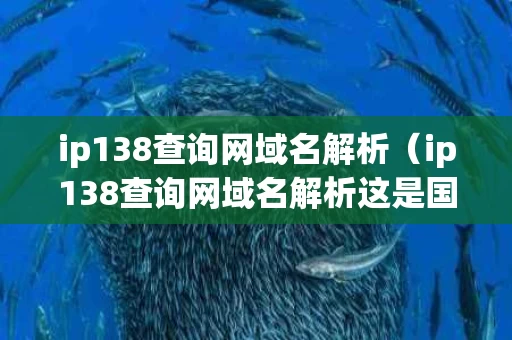 ip138查询网域名解析（ip138查询网域名解析这是国家的吗）