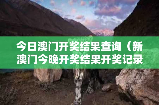 今日澳门开奖结果查询（新澳门今晚开奖结果开奖记录）