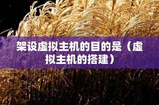架设虚拟主机的目的是（虚拟主机的搭建）