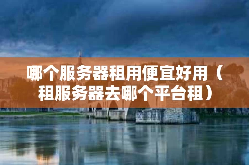 哪个服务器租用便宜好用（租服务器去哪个平台租）