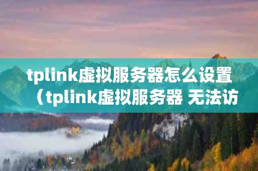 tplink虚拟服务器怎么设置（tplink虚拟服务器 无法访问）