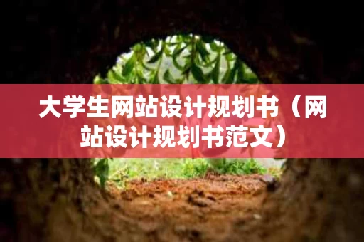 大学生网站设计规划书（网站设计规划书范文）