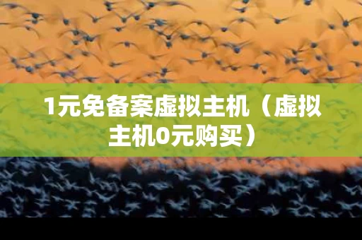 1元免备案虚拟主机（虚拟主机0元购买）