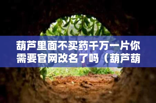 葫芦里面不买药千万一片你需要官网改名了吗（葫芦葫芦）