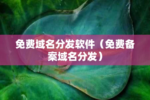 免费域名分发软件（免费备案域名分发）