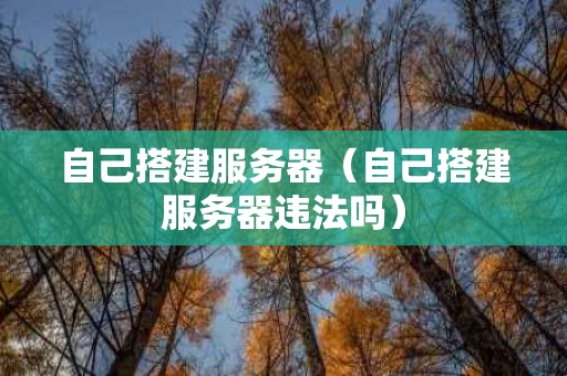 自己搭建服务器（自己搭建服务器违法吗）