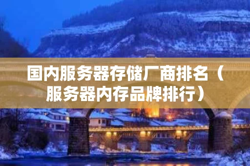 国内服务器存储厂商排名（服务器内存品牌排行）