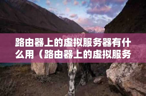 路由器上的虚拟服务器有什么用（路由器上的虚拟服务器怎么用）