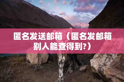 匿名发送邮箱（匿名发邮箱别人能查得到?）