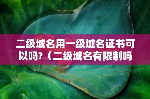 二级域名用一级域名证书可以吗?（二级域名有限制吗）
