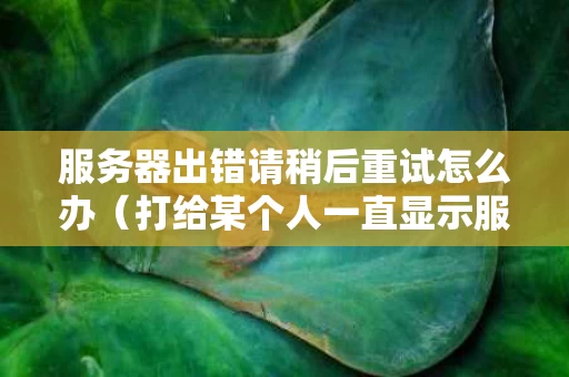 服务器出错请稍后重试怎么办（打给某个人一直显示服务器错误）