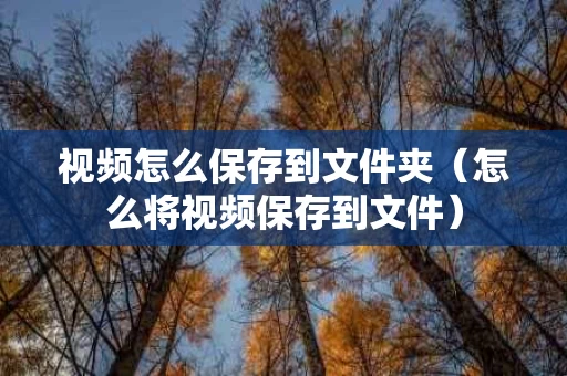 视频怎么保存到文件夹（怎么将视频保存到文件）
