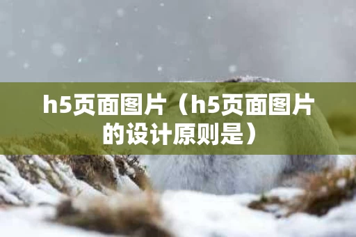 h5页面图片（h5页面图片的设计原则是）