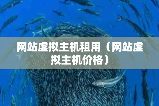 网站虚拟主机租用（网站虚拟主机价格）