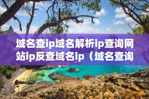 域名查ip域名解析ip查询网站ip反查域名ip（域名查询ip查询网）