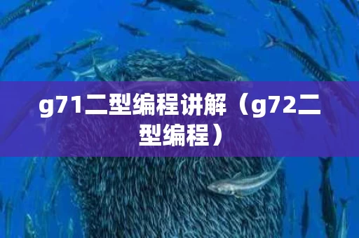 g71二型编程讲解（g72二型编程）
