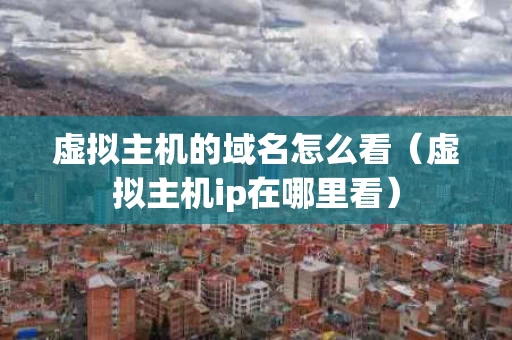 虚拟主机的域名怎么看（虚拟主机ip在哪里看）