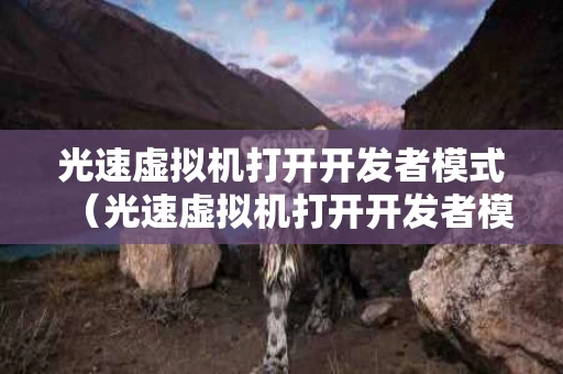 光速虚拟机打开开发者模式（光速虚拟机打开开发者模式有什么用）