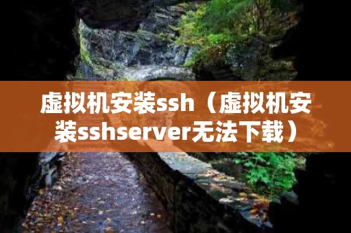 虚拟机安装ssh（虚拟机安装sshserver无法下载）