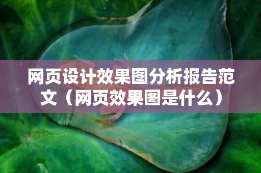 网页设计效果图分析报告范文（网页效果图是什么）