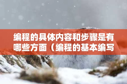 编程的具体内容和步骤是有哪些方面（编程的基本编写方法）