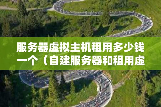 服务器虚拟主机租用多少钱一个（自建服务器和租用虚拟主机）
