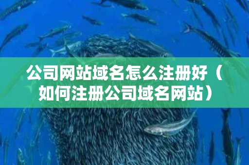 公司网站域名怎么注册好（如何注册公司域名网站）