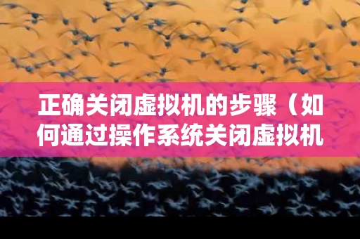 正确关闭虚拟机的步骤（如何通过操作系统关闭虚拟机）
