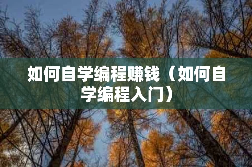 如何自学编程赚钱（如何自学编程入门）