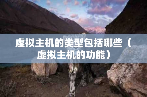 虚拟主机的类型包括哪些（虚拟主机的功能）