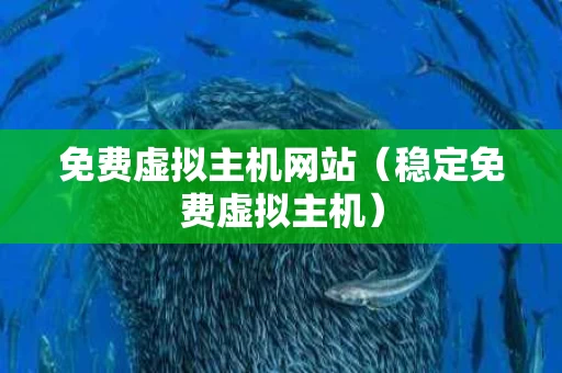 免费虚拟主机网站（稳定免费虚拟主机）