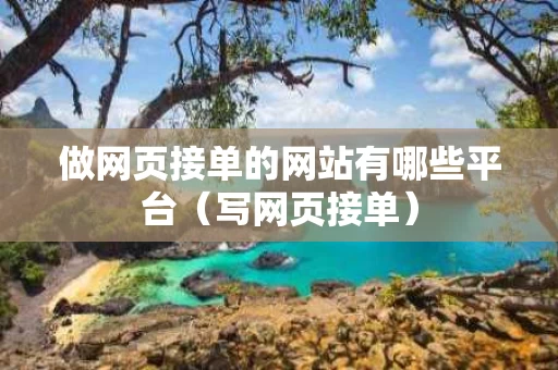 做网页接单的网站有哪些平台（写网页接单）