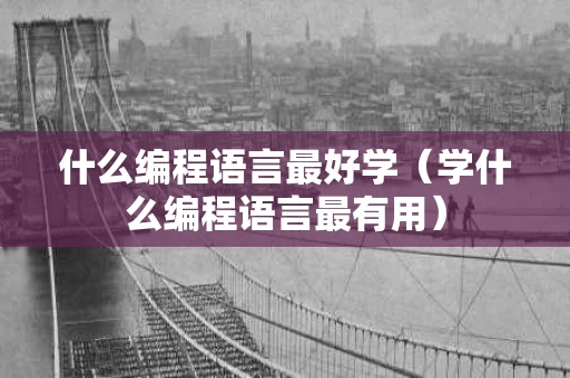 什么编程语言最好学（学什么编程语言最有用）